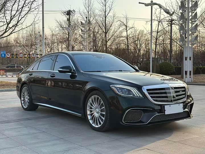 Mercedes-Benz S-Class 2014 AMG S 65 L — фото 2