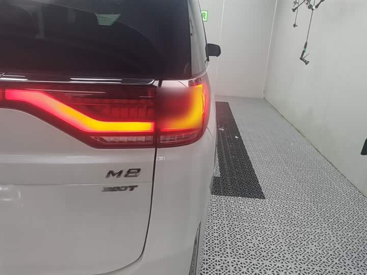 Trumpchi M8 2023 390 T — фото 8