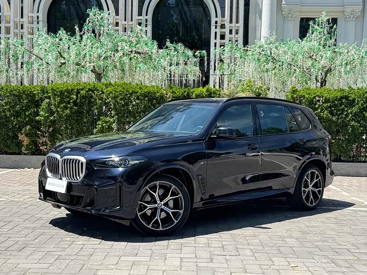 BMW X5 2023 x Drive 30 Li M — фото 1