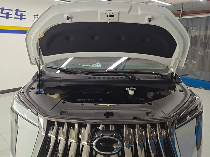 Trumpchi M8 2023 400 T — фото 10