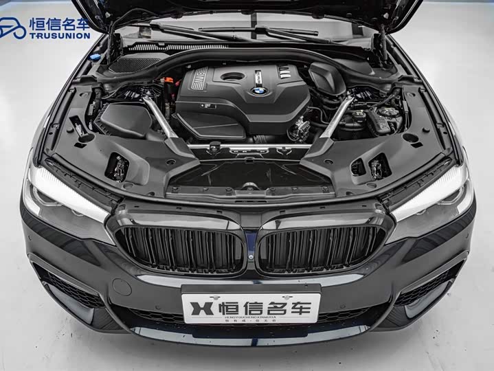 BMW 5-Series 2019 530 Li x Drive M — фото 21
