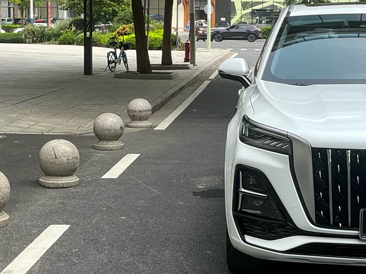 Hongqi HS5 2023 2.0 T Pro — фото 7