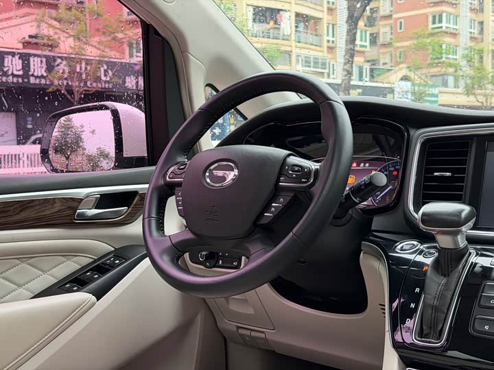 Trumpchi M8 2018 320 T — фото 22