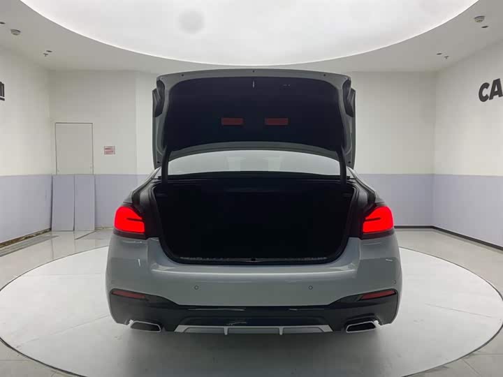 BMW 5-Series 2022 530 Li Leading M — фото 30