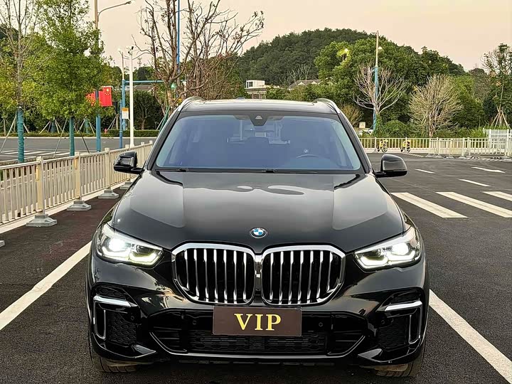 BMW X5 xDrive 30Li M спортпакет — фото 2