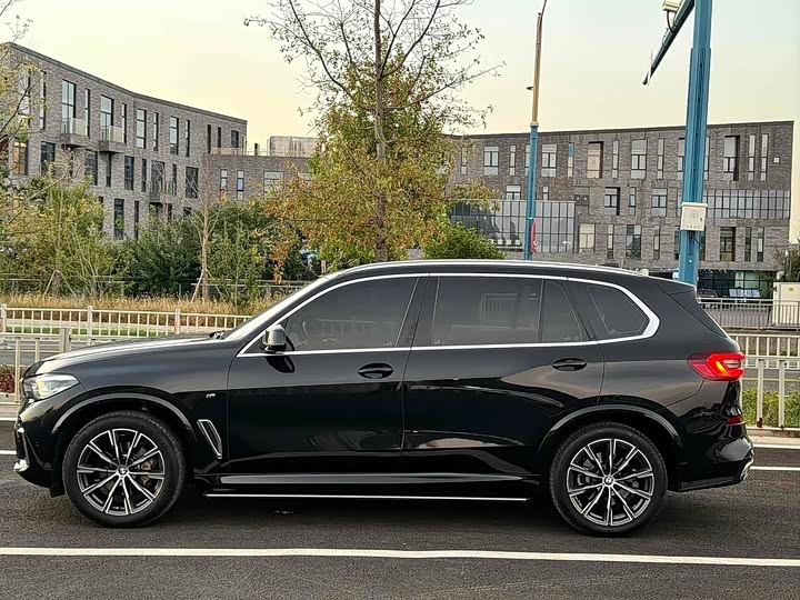BMW X5 xDrive 30Li M спортпакет — фото 11