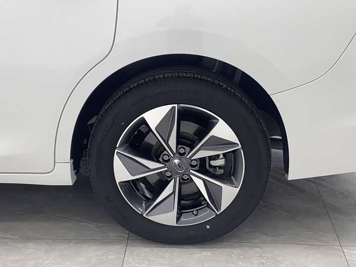 Trumpchi M6 2023 PRO 270 T DCT — фото 19