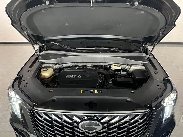 Trumpchi GS8 2024 2.0 TGDI 2 WD 7 — фото 10