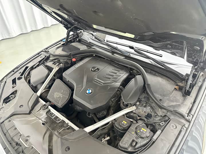 BMW 5-Series 2022 530 Li x Drive M — фото 43