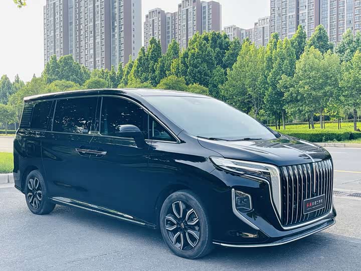 Hongqi HQ9 2023 2.0 T — фото 3