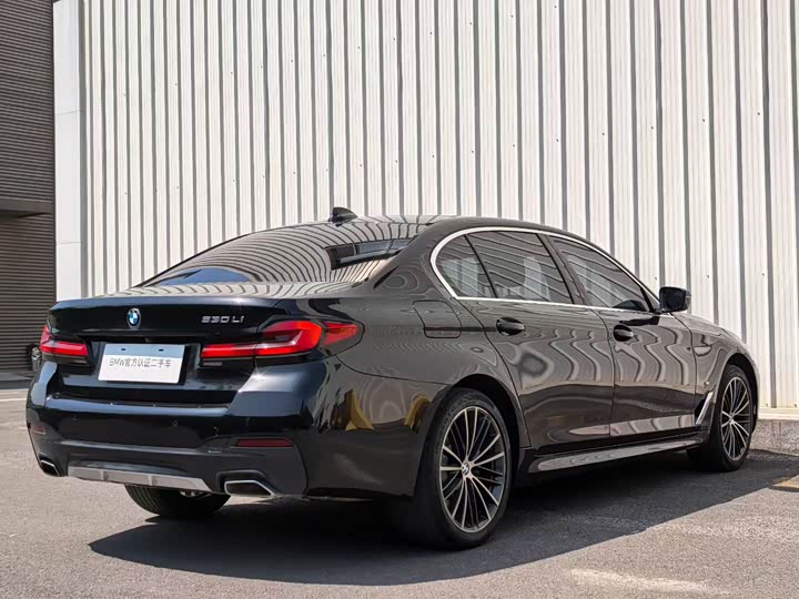 BMW 5-Series 2022 530 Li Leading M — фото 7