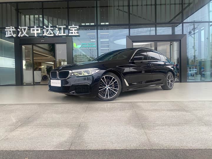 BMW 5-Series 2020 530 Li Leading M — фото 1