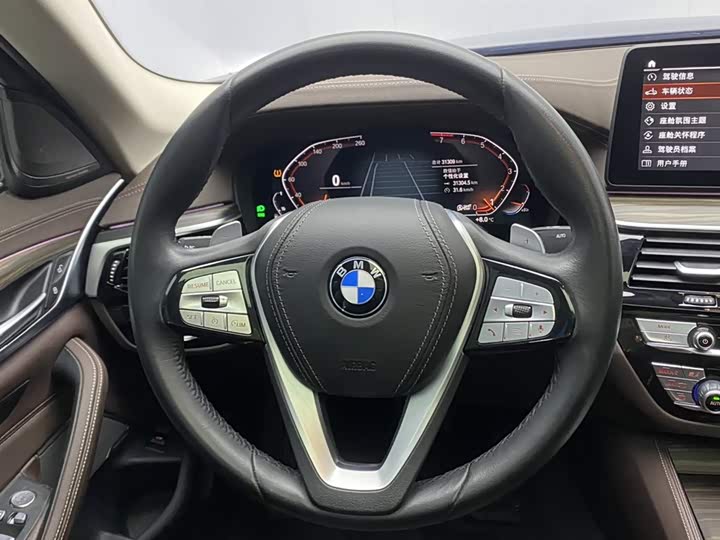 BMW 5-Series 2023 530 Li Leading — фото 14