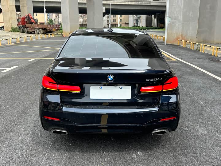 BMW 5-Series 2020 530 Li Leading M — фото 6