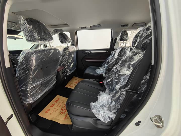 Trumpchi M6 2025 MAX 270 T WDCT — фото 9
