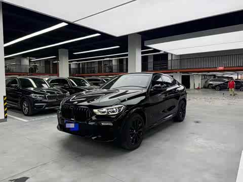 BMW X 6 2021 x Drive 40i M — фото 18