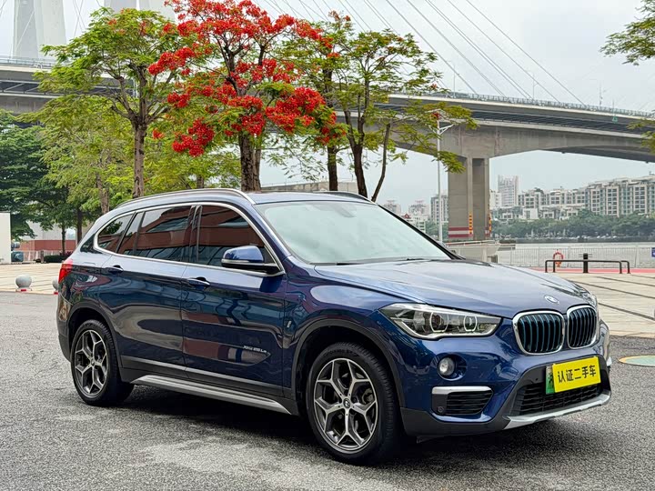 BMW X1 2018 x Drive 25 Le Luxury — фото 7