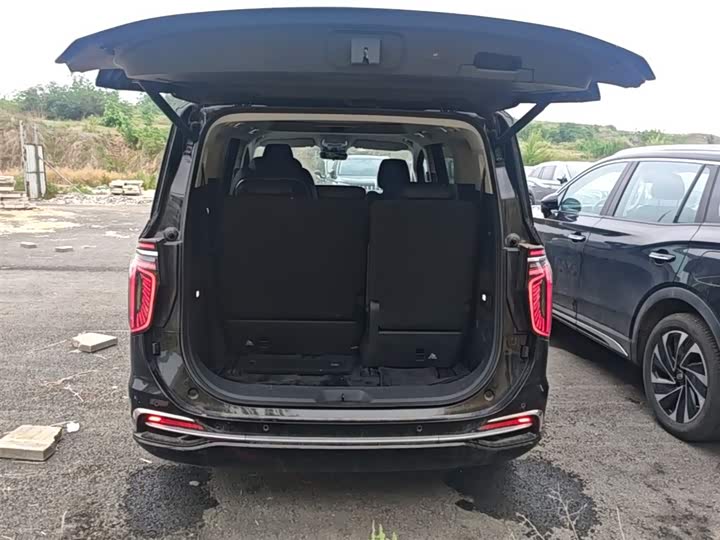 Hongqi HQ9 PHEV 2024 2.0 T 4 WD — фото 19