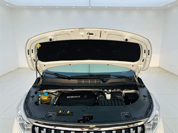Trumpchi M8 2021 390 T — фото 24