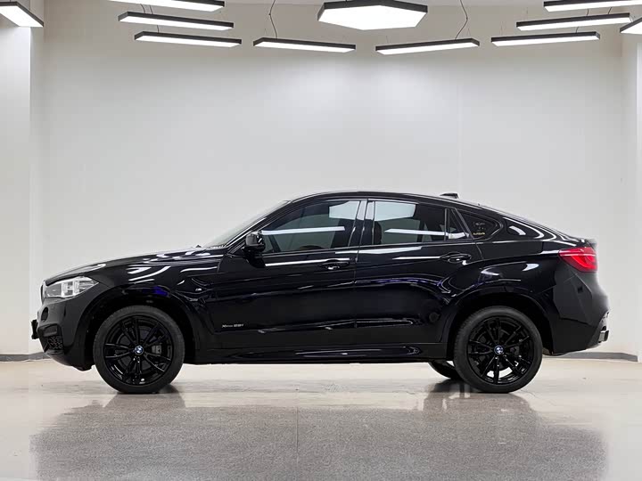 BMW X6 2019 x Drive 28i M — фото 4