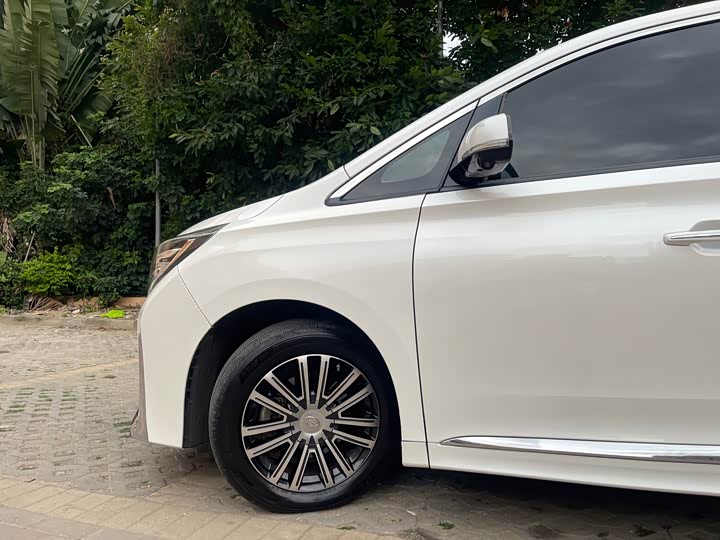 Trumpchi M8 2021 390 T — фото 8
