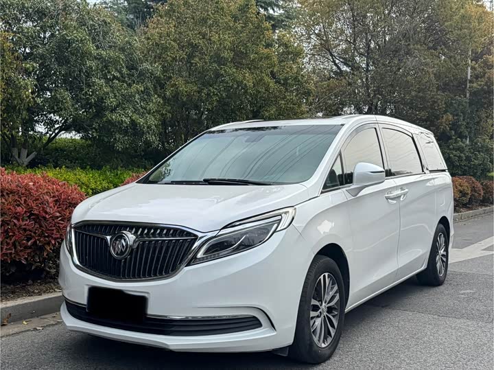 Buick GL8 2018 ES 28 T Luxury VI — фото 1