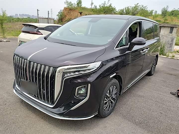 Hongqi HQ9 PHEV 2024 2.0 T 4 WD — фото 1
