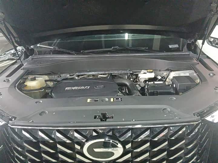 Trumpchi GS8 2024 2.0 TGDI 2 WD 7 — фото 20