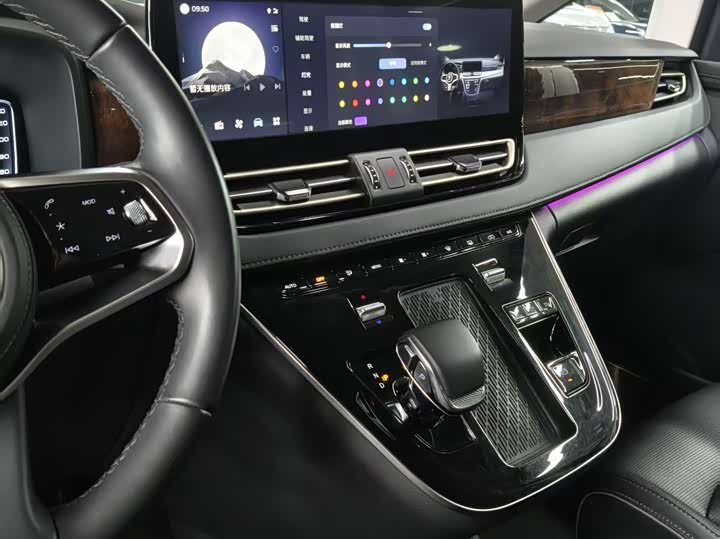 Hongqi HQ9 PHEV 2024 2.0 T 4 WD — фото 4