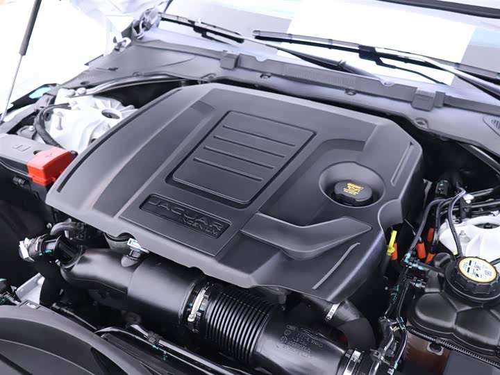 Jaguar XFL 2024 2.0 T P 250 2 WD — фото 23