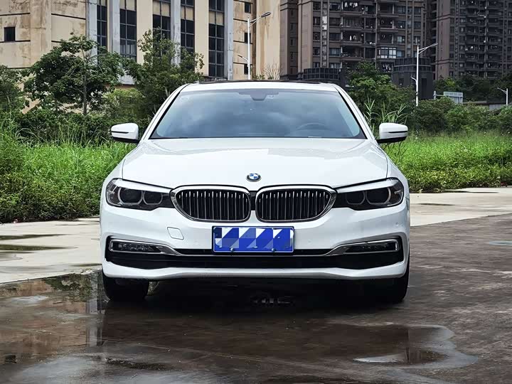 BMW 5-Series 2018 530 Li Leading — фото 2