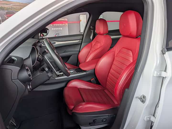 Alfa Romeo Stelvio 2023 2.0 T 280 HP Veloce — фото 16