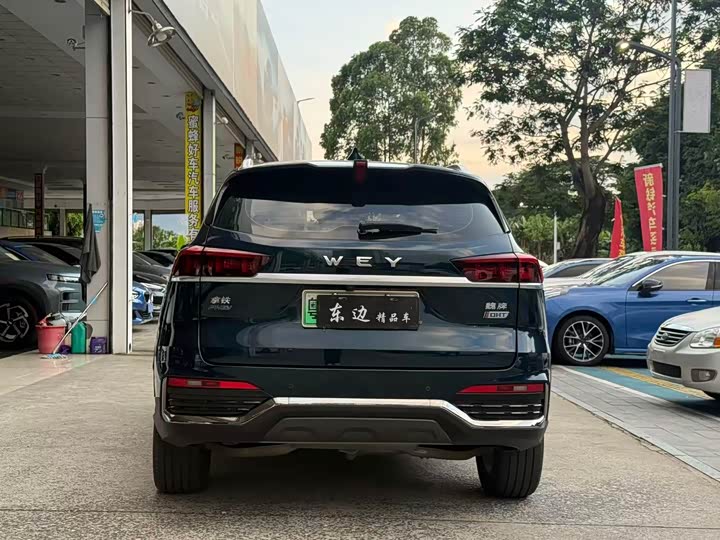 Wey DHT-PHEV 2022 1.5 T 4 WD — фото 9