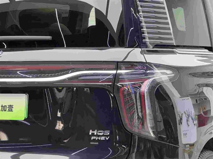 Hongqi HQ9 PHEV 2024 2.0 T 4 WD — фото 15
