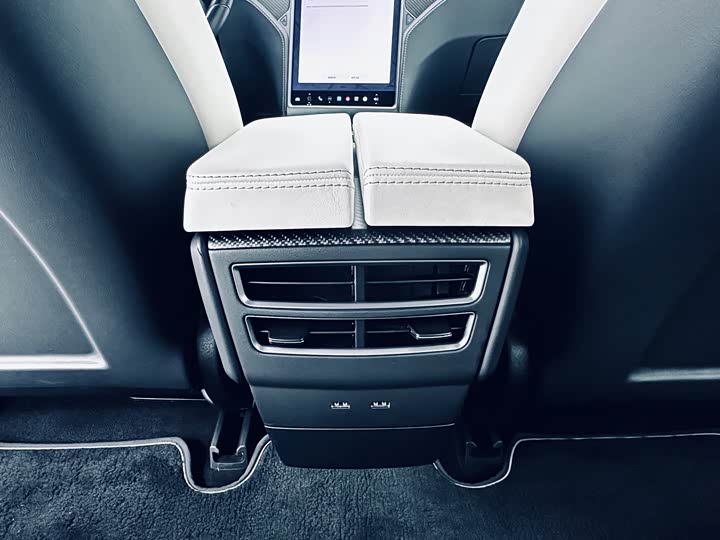 Tesla Model 2020 Performance — фото 11