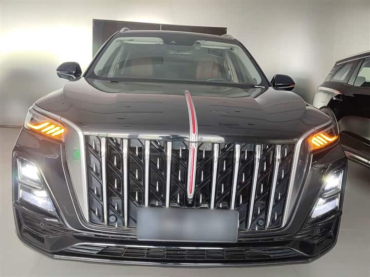 Hongqi HS5 2023 2.0 T 4 WD Pro — фото 3