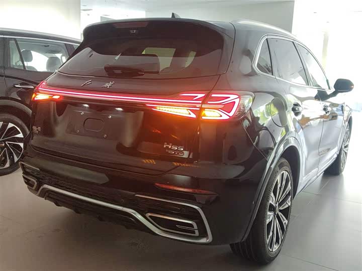 Hongqi HS5 2023 2.0 T 4 WD Pro — фото 5