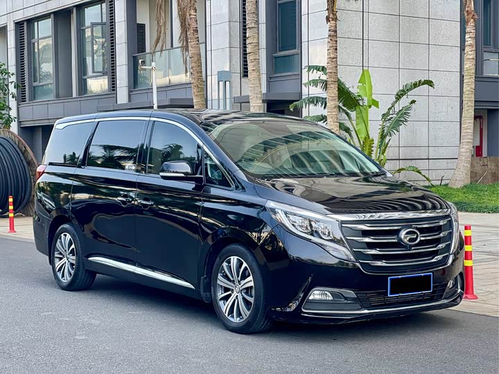Trumpchi M8 2018 320 T — фото 3