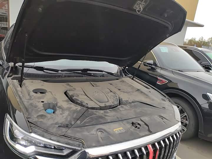 Hongqi HS5 2019 2.0 T 4 WD — фото 20