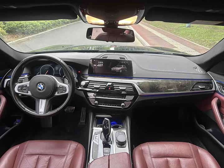 BMW 5-Series 2019 530 Li Leading M — фото 6