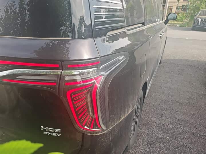 Hongqi HQ9 PHEV 2024 2.0 T 4 WD — фото 8