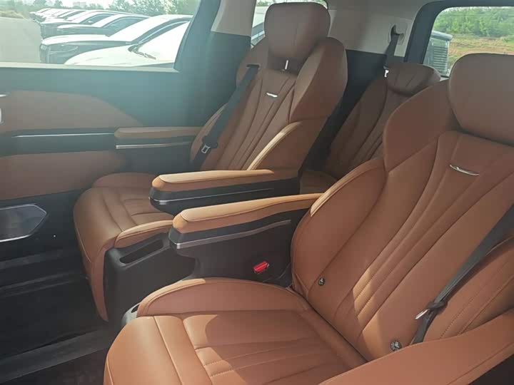 Hongqi HQ9 PHEV 2024 2.0 T 4 WD — фото 17
