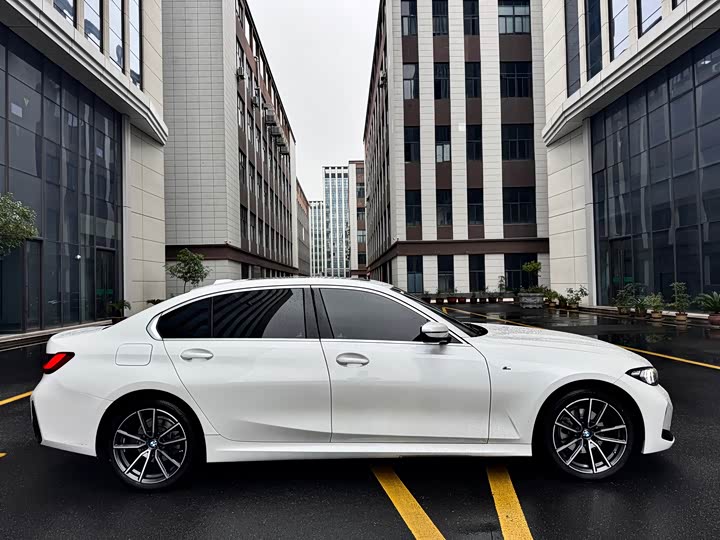 BMW 3 Series 320Li M спортпакет — фото 8