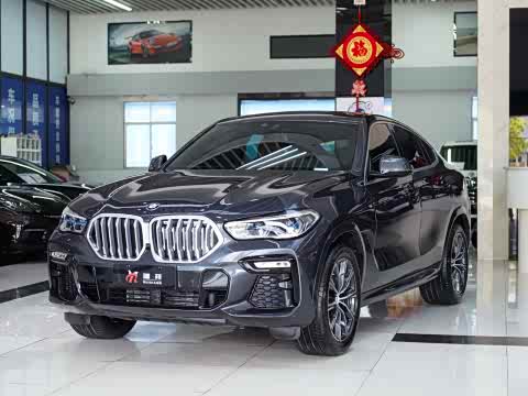 BMW X6 2021 x Drive 40i M — фото 19