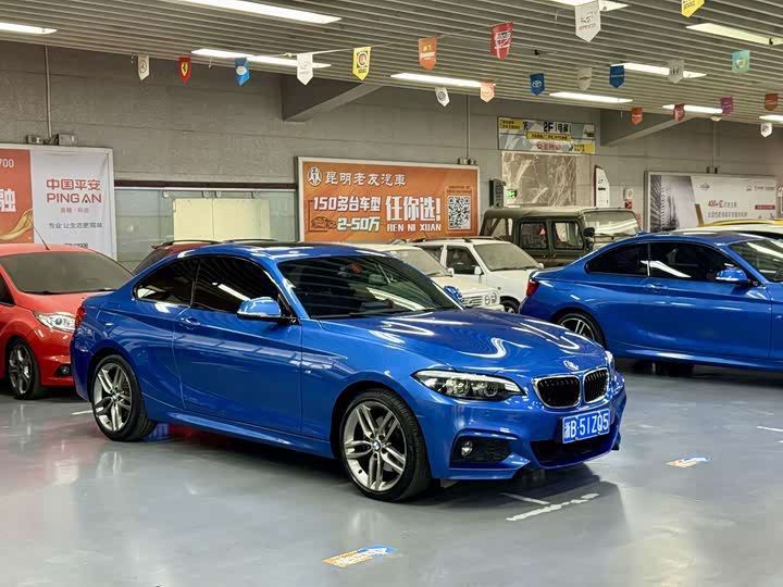 BMW 2 Series — фото 3