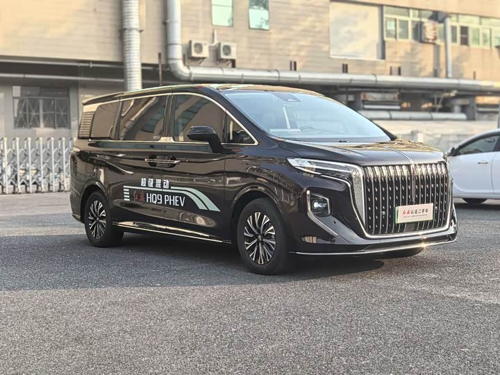 Hongqi HQ9 PHEV 2024 2.0 T 4 WD — фото 3