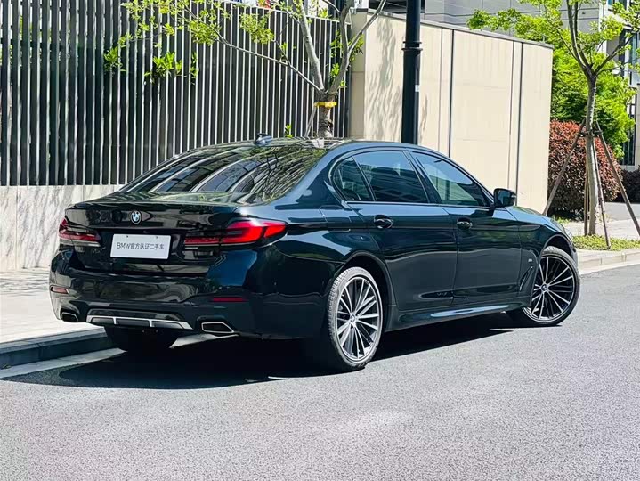 BMW 5-Series 2021 530 Li Leading M — фото 3