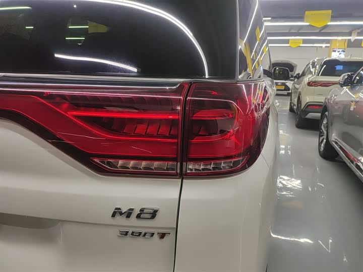 Trumpchi M8 2023 390 T — фото 8