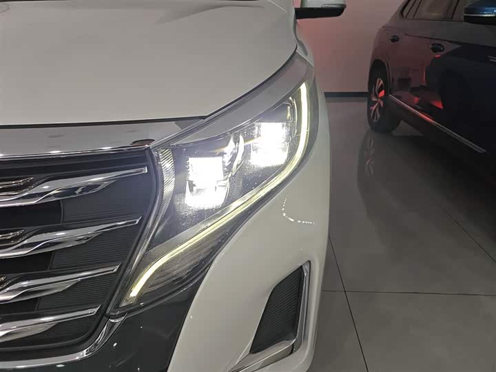 Trumpchi M8 2020 390 T — фото 24
