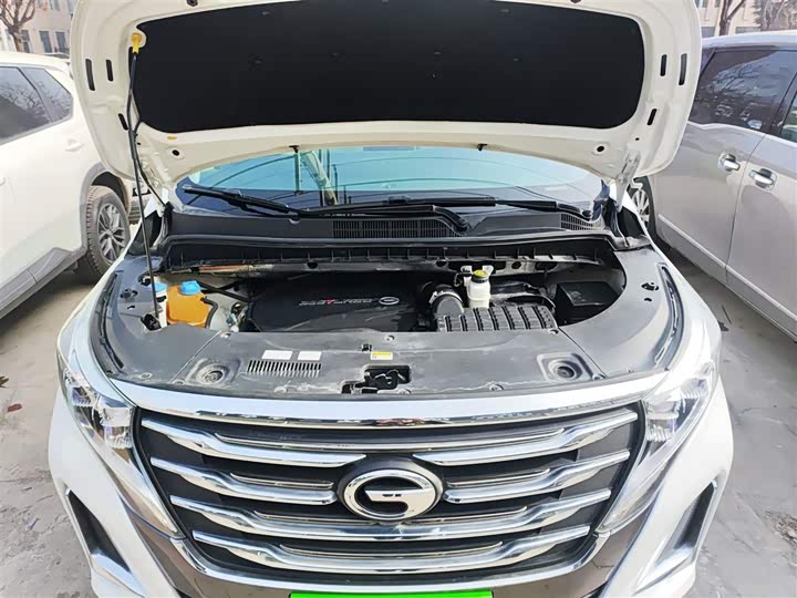 Trumpchi M8 2020 390 T — фото 19
